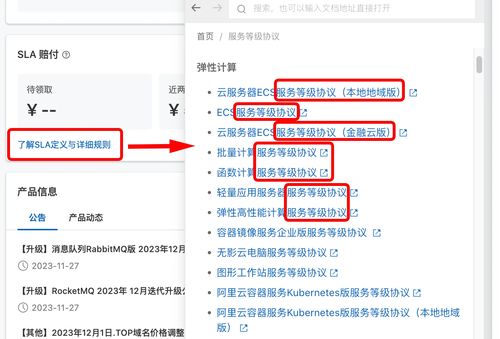 阿里云賠償?shù)劫~ 解析嗶哩嗶哩的信息技術(shù)咨詢(xún)服務(wù)價(jià)值
